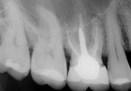 WhatsApp Image 2026-04-14 at 09.54.58