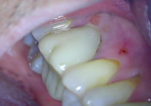 WhatsApp Image 2026-04-14 at 09.56.52