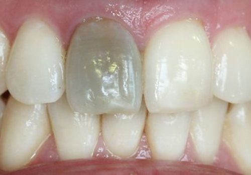 WhatsApp Image 2026-04-15 at 08.16.30